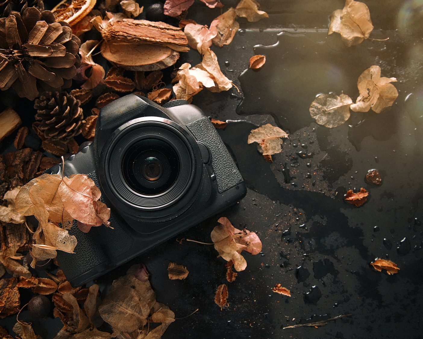 Autumn Photography. Flat Lay photography.